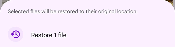 Confirm Restore