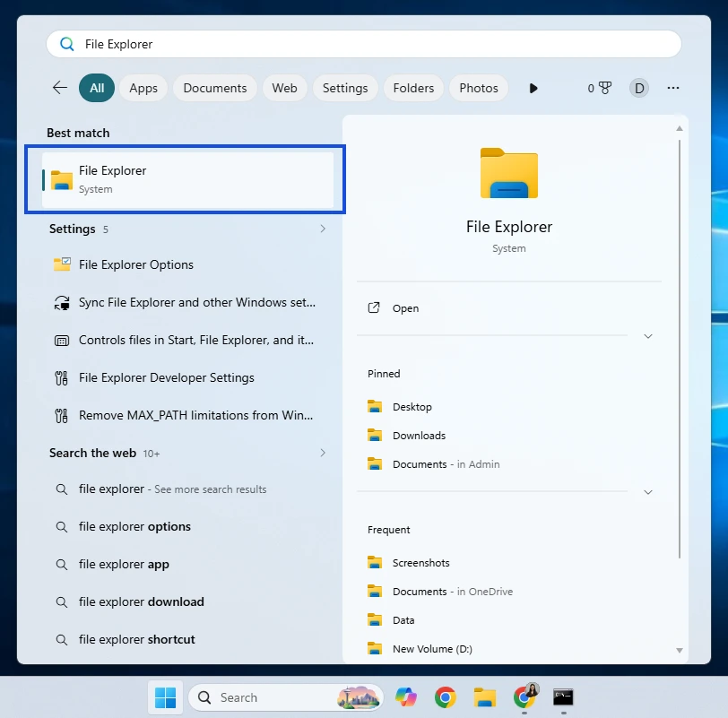 File Explorer1