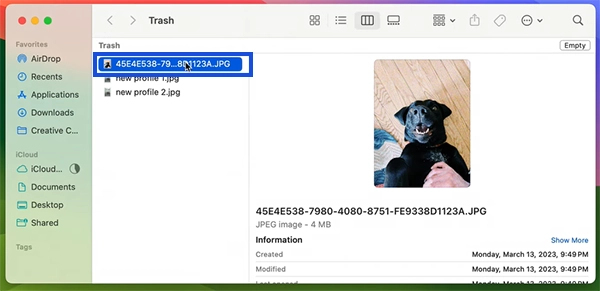 Select image to restore