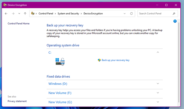View the encrypted drives