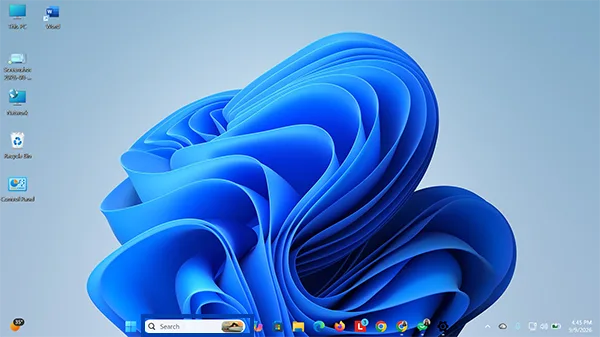 Windows Search bar 