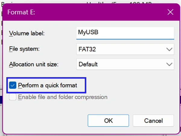 Check the box for Perform a quick format